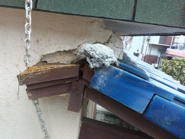 下屋　瓦　補修前